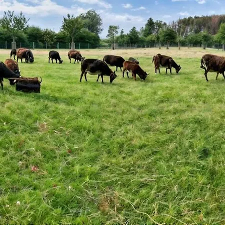 Hoeve Hulsbeek: Genieten De En De Rust *